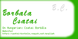 borbala csatai business card